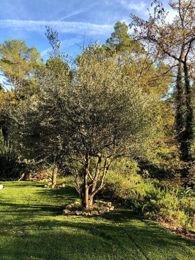 Le Clos De St Esprit דראגיניאן מראה חיצוני תמונה